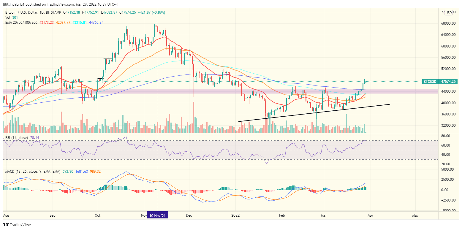 Bitcoin (BTC) daily price chart. Source: TradingView.com 