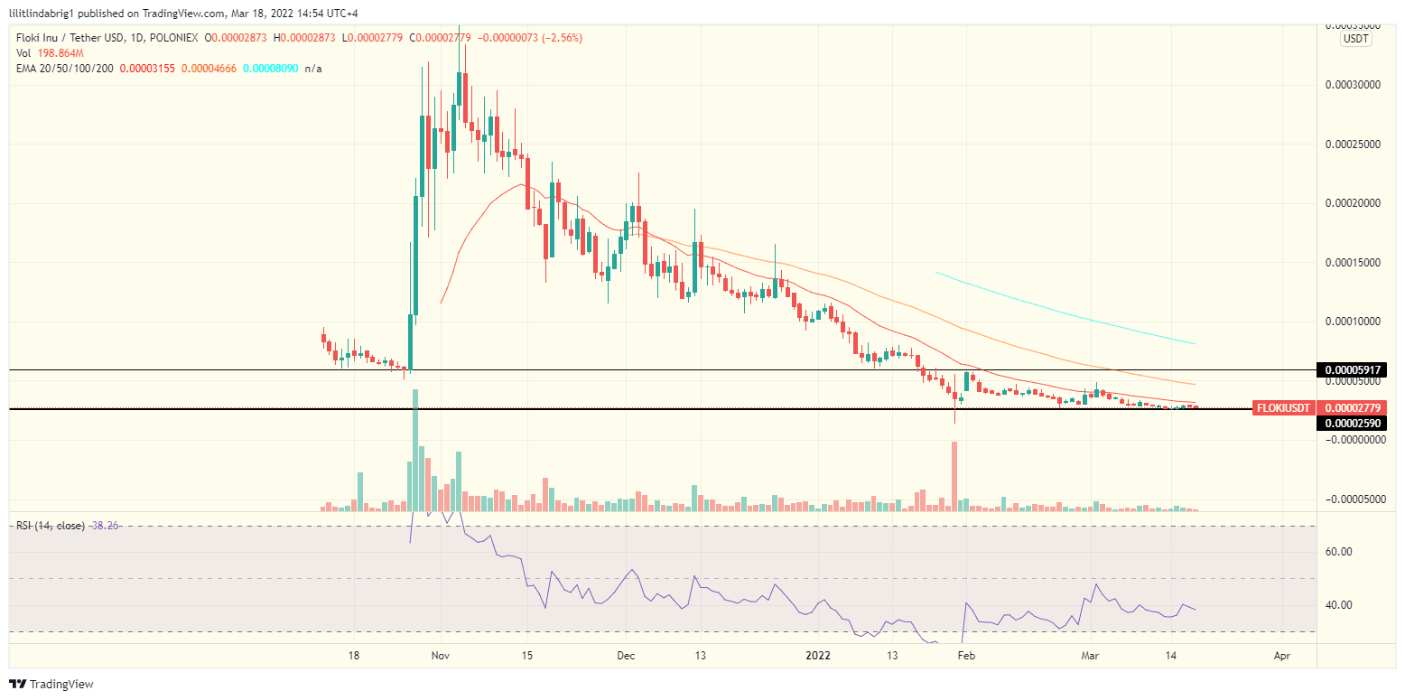 Floki Inu (FLOKI) daily chart. Source: TradingView.com 