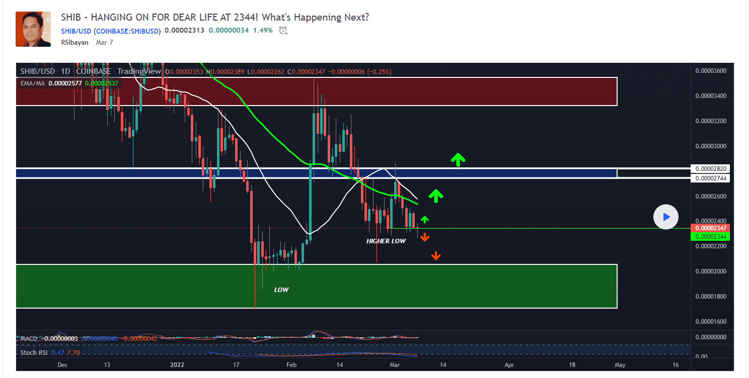 Shiba Inu (SHIB) daily price chart. Source: RSibayan on TradingView.com 