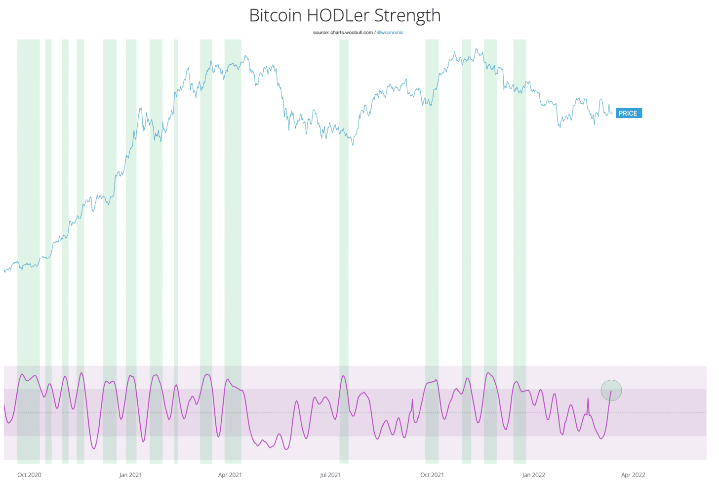 Historically, Bitcoin prices have reacted positively as to increased holder activity. Source: The Bitcoin Forecast