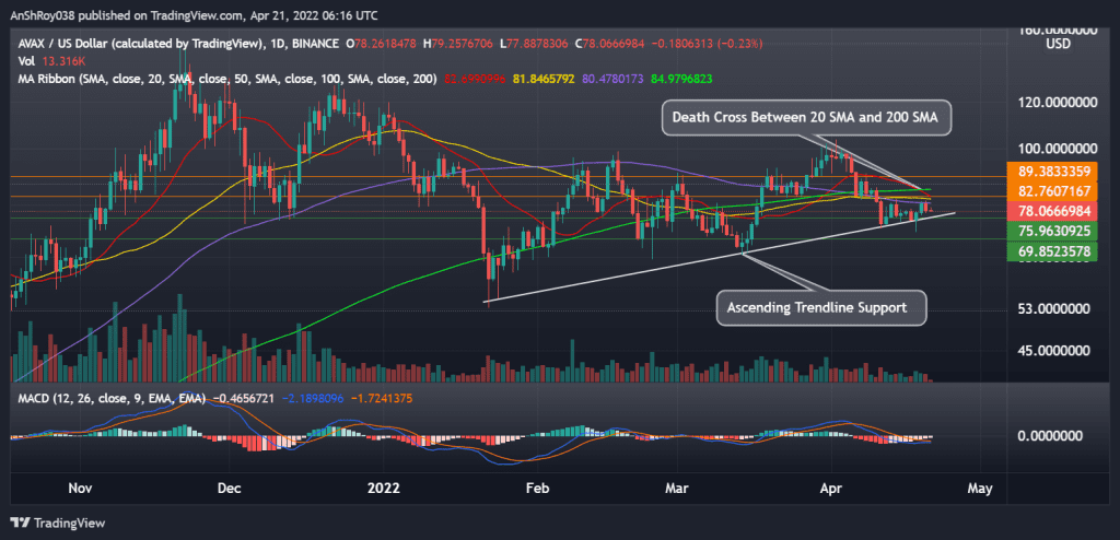 AVAXUSD daily chart with death cross and MACD. Source: Tradingview.com