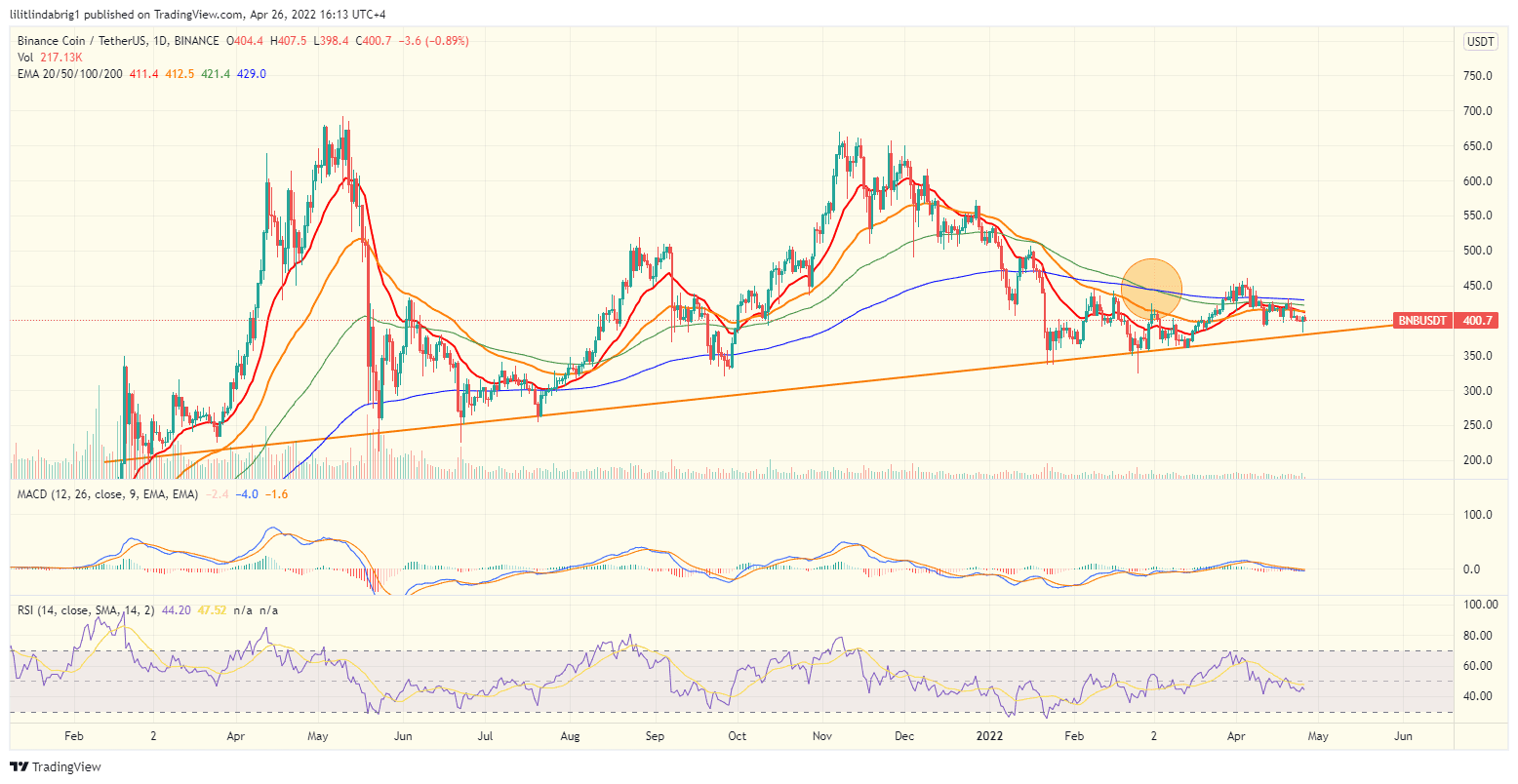 Binance coin (BNB) daily price chart. Source: TradingView.com 
