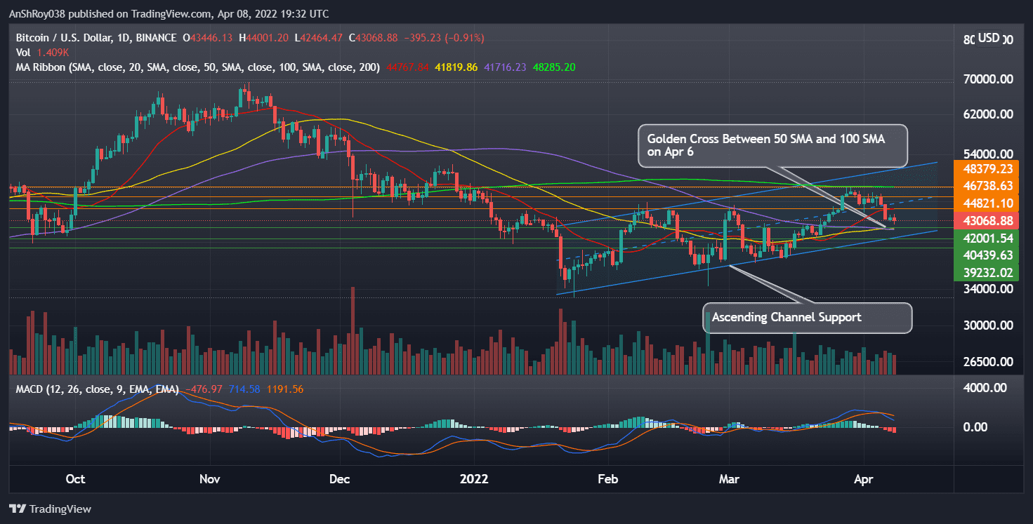 Bitcoin (BTCUSD) daily chart with ascending channel, golden cross, and MACD. Source: Tradingview.com 