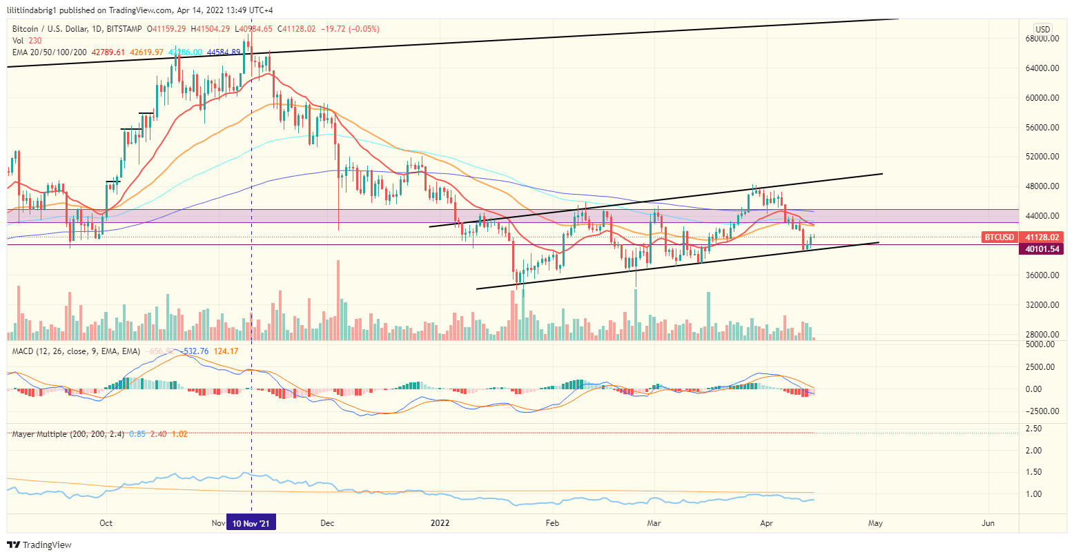 Bitcoin (BTC) daily price chart. Source: TradingView.com 