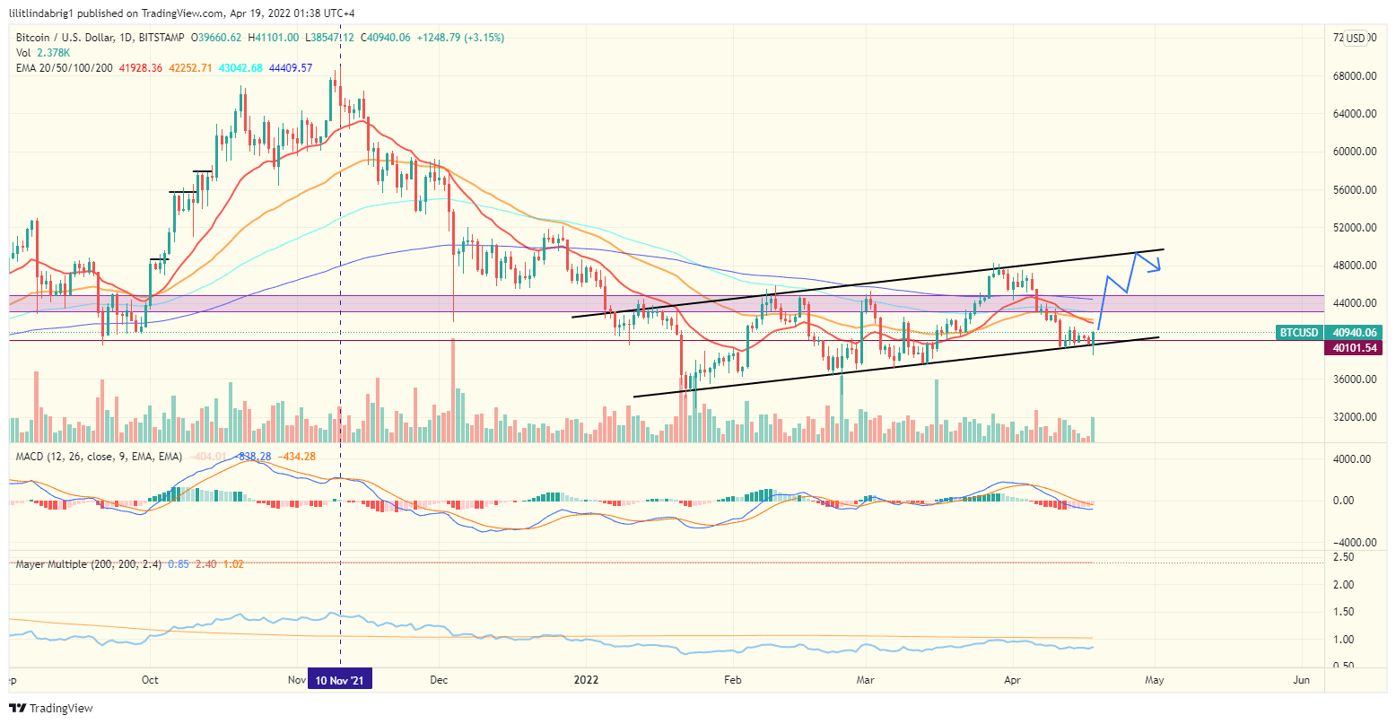 Bitcoin (BTC) daily price action featuring a Rising Channel. Source: TradingView.com