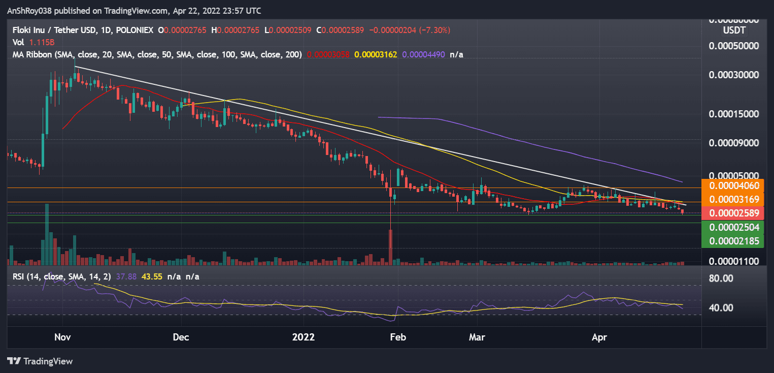 FLOKIUSDT daily chart with RSI. Source: Tradingview.com