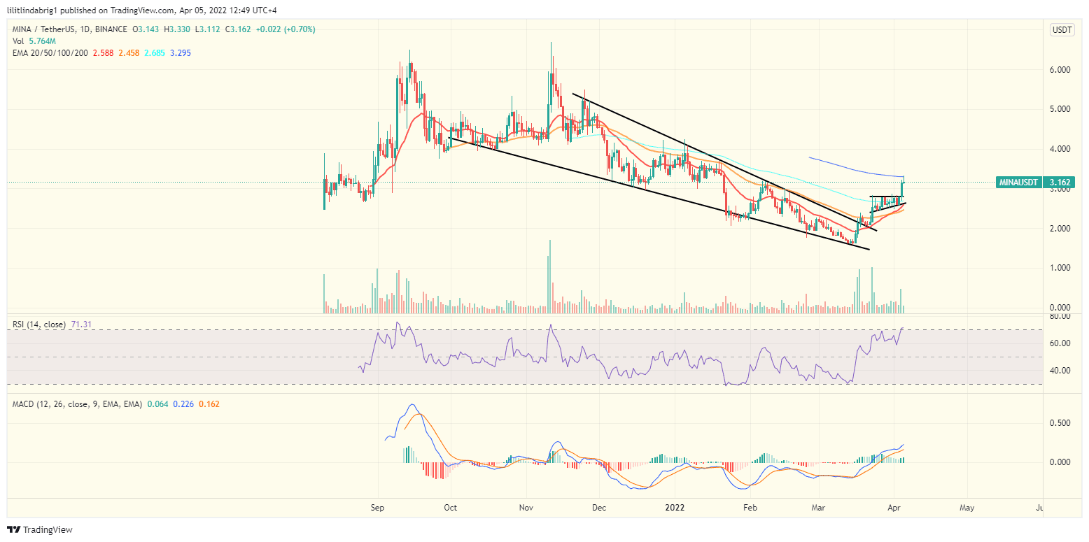 Mina Protocol (MINA) daily price chart. Source: TradingView.com 