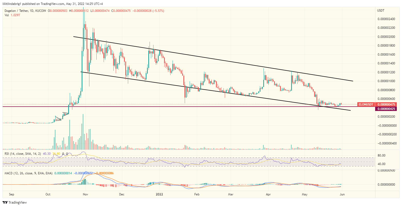 Dogelon Mars (ELON) daily chart. Source: TradingView.com 