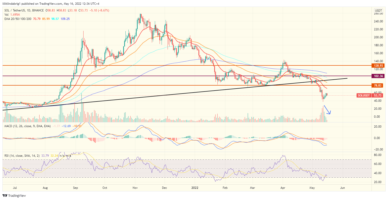 Solana (SOL) daily price chart.