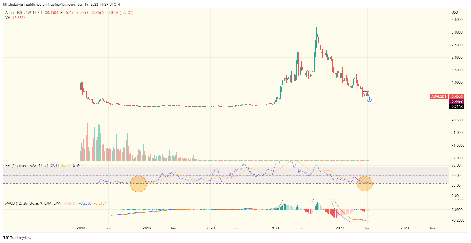 Cardano (ADA) weekly chart, featuring an oversold RSI. Source: TradingView.com