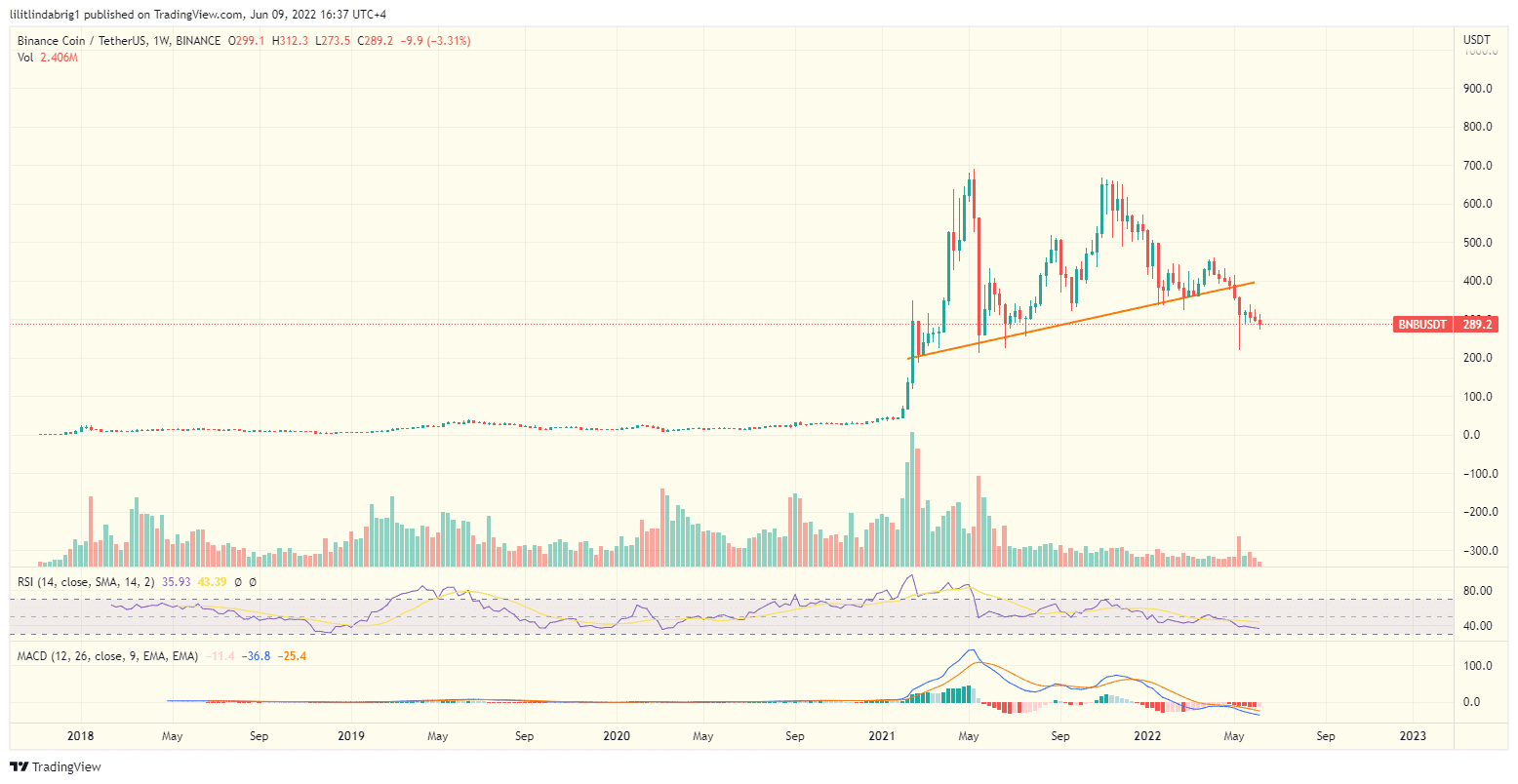 Binance coin (BNB) weekly chart. Source: TradingView.com