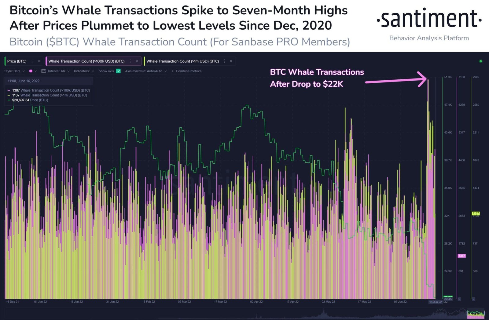 Whale accumulation in progress. Source: Santiment.com