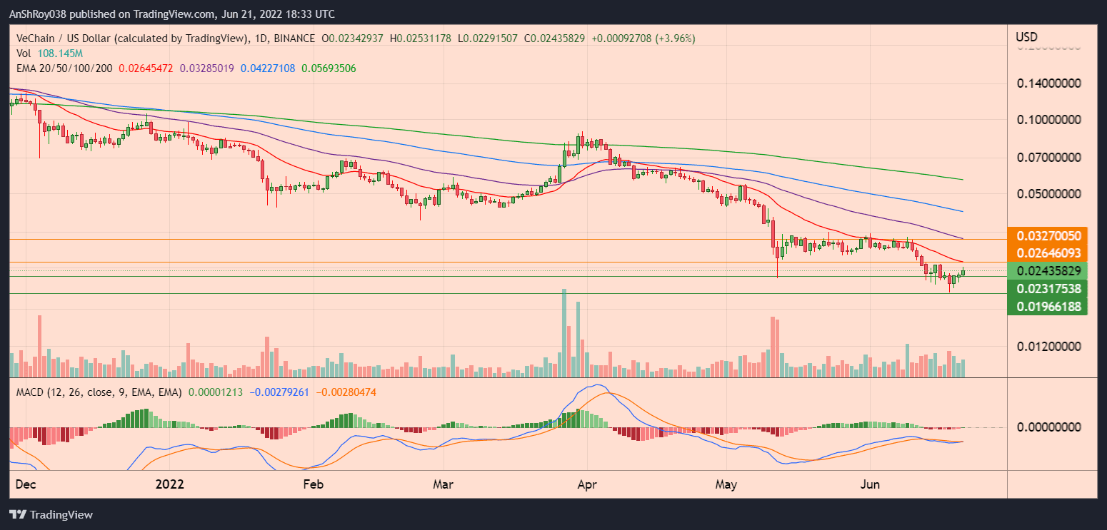 VETUSD daily chart with MACD