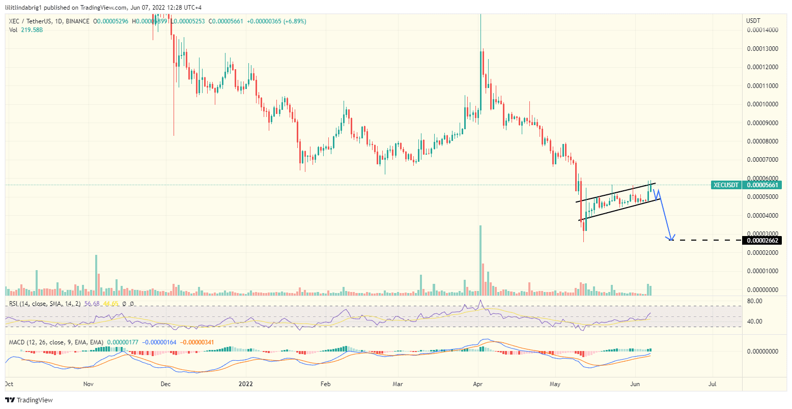 ECash (XEC) daily chart featuring a Bear Flag. Source: TradingView.com