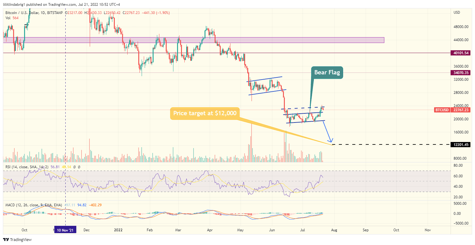 Bitcoin (BTC) daily price chart, featuring a Bear Flag. Source: TradingView.com
