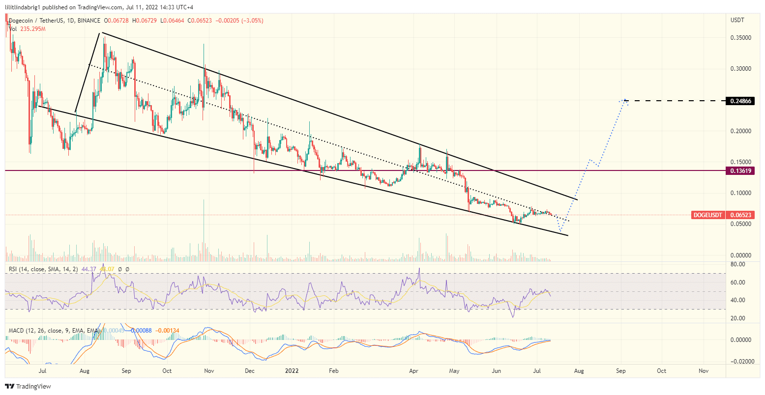 Dogecoin (DOGE) daily chart featuring a Falling Wedge. Source: TradingView.com