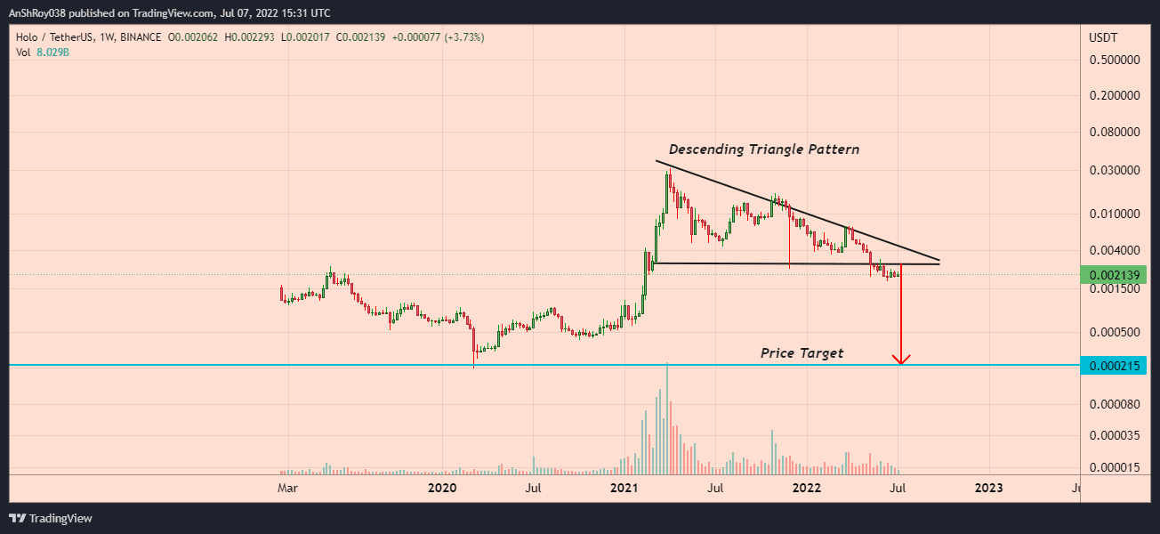 Holo prices risk a 90% fall after breaking out of a descending triangle pattern.