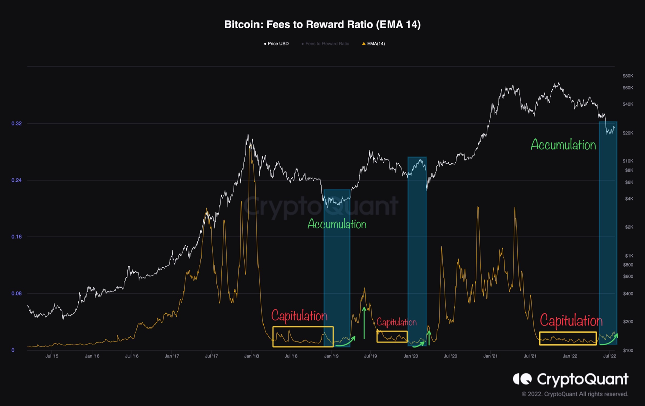 Bitcoin fees to reward ratio. Source: CryptoQuant