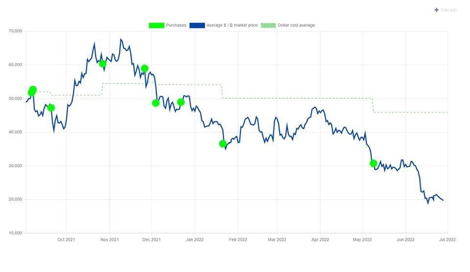 El Salvador's president Nayib Bukele has repeatedly bought the dip.