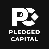 , Pledged Capital, stopping scam projects in their tracks.
