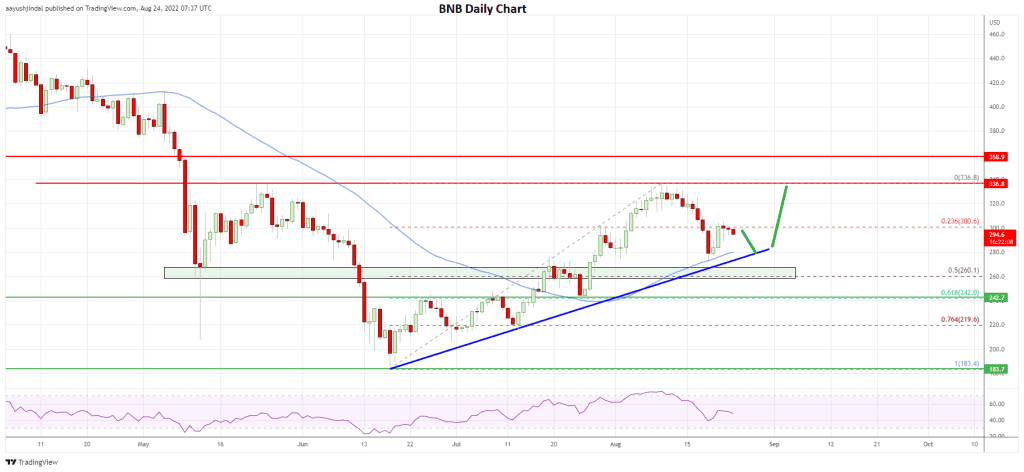 BNB’s daily price chart