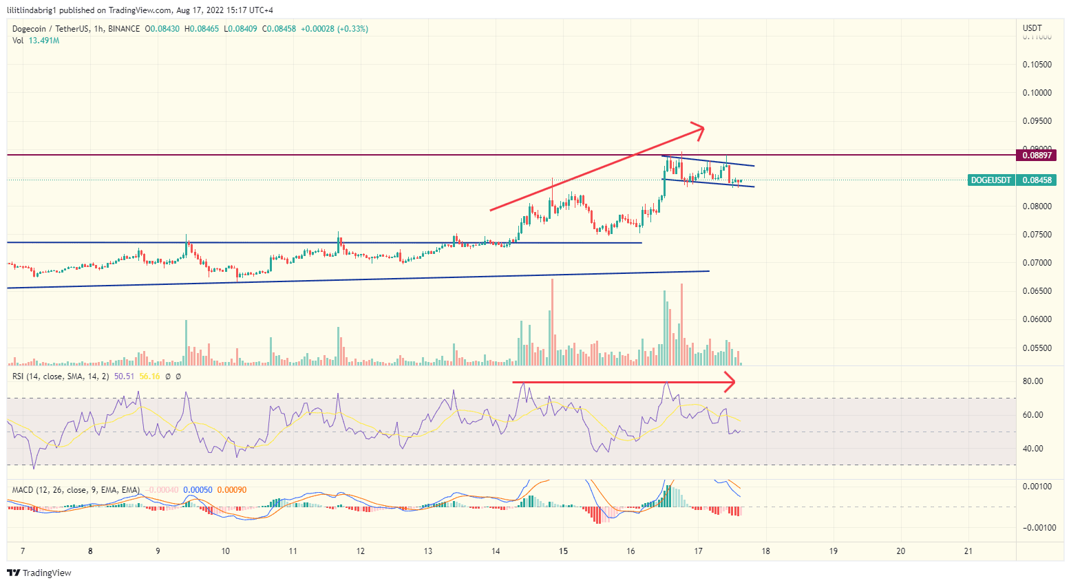 Dogecoin (DOGE) hourly chart. Source: TradingView.com 