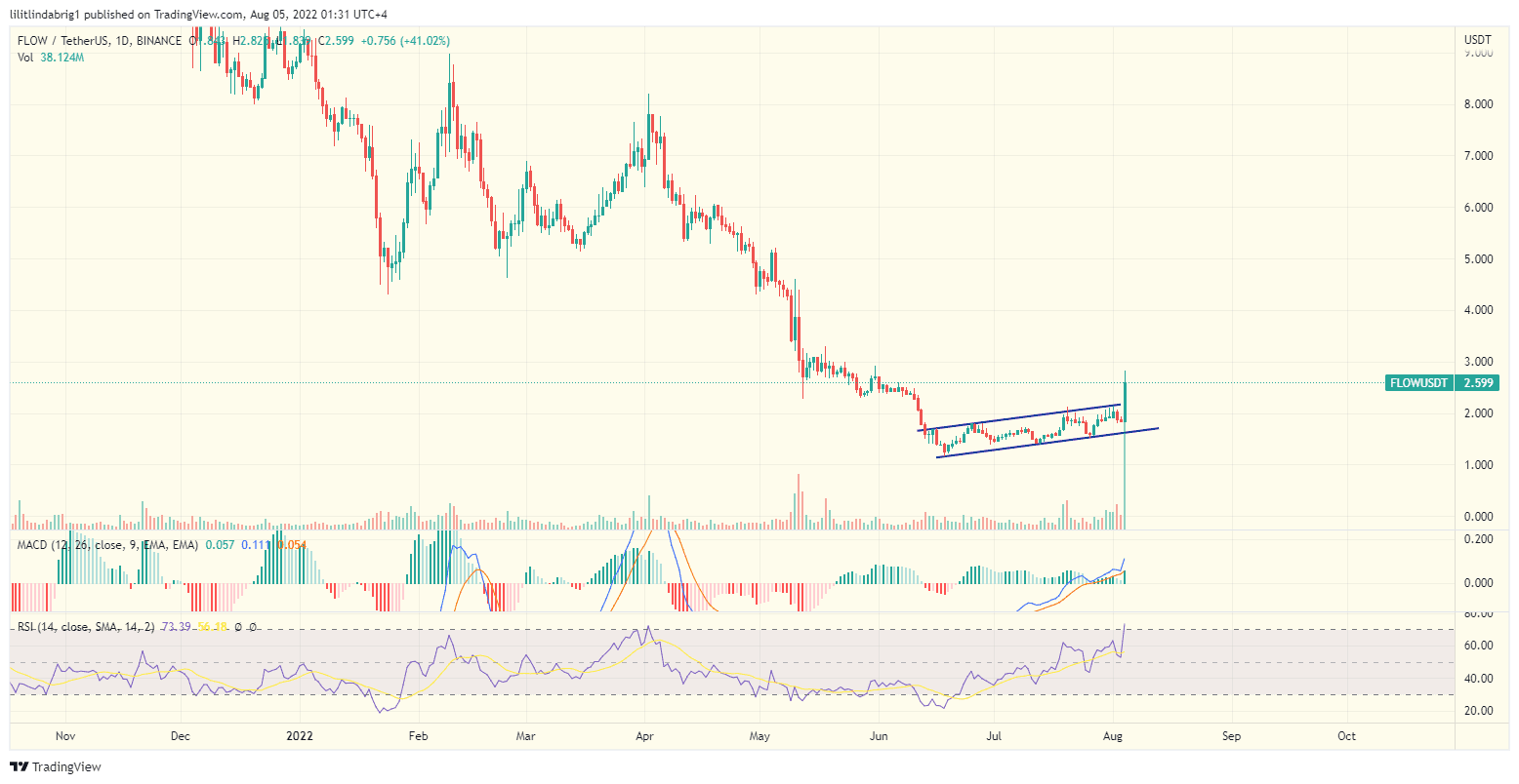 Will the FLOW Token Rally Last?