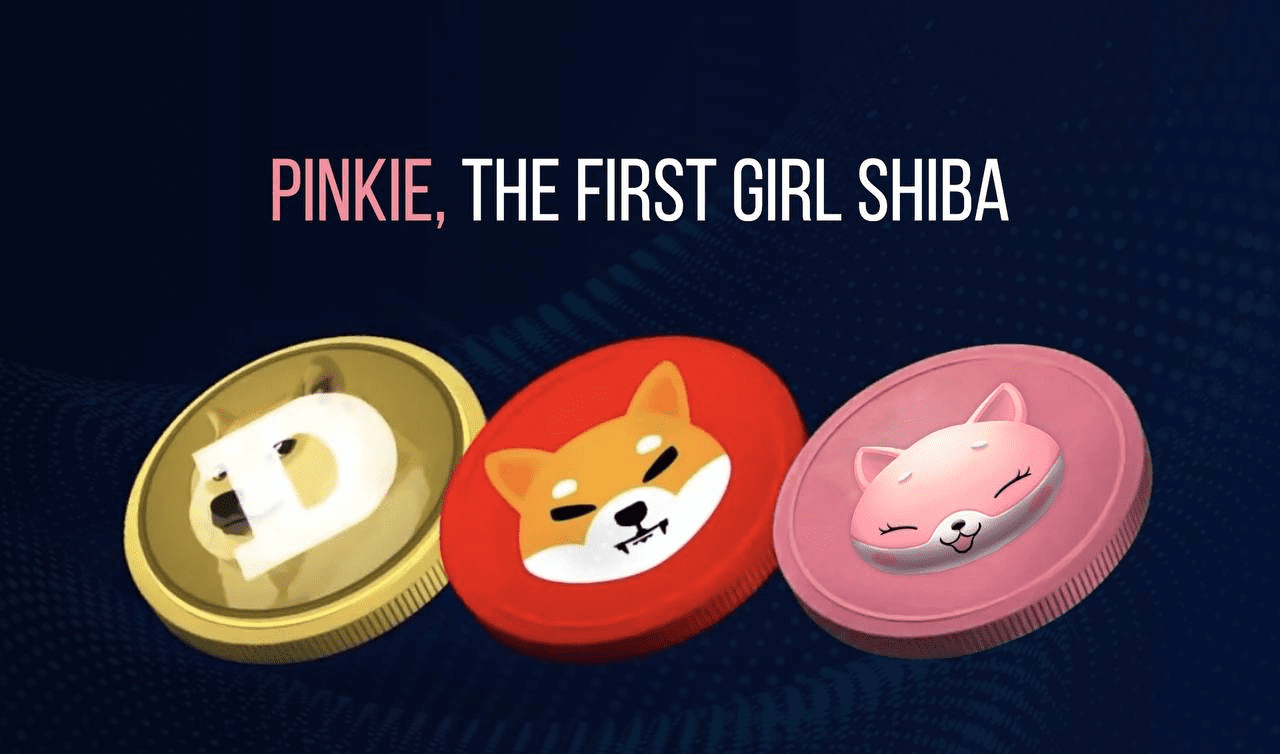 , PINKIE – THE CONVERGENCE OF INCLUSIVENESS, BLOCKCHAIN INNOVATION, AND METAVERSE FASHION