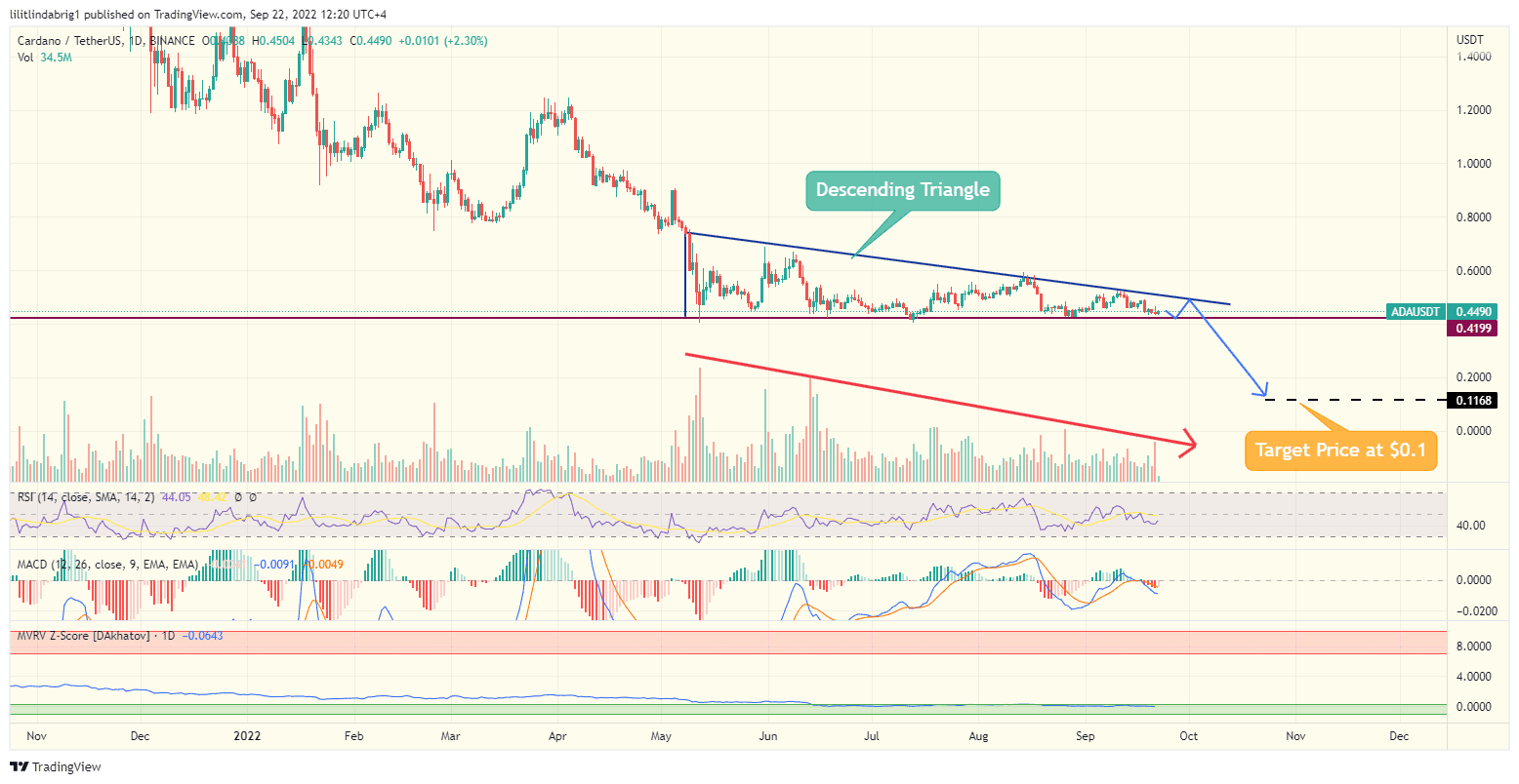 Cardano (ADA) daily price chart featuring a descending triangle. Source: TradingView.com