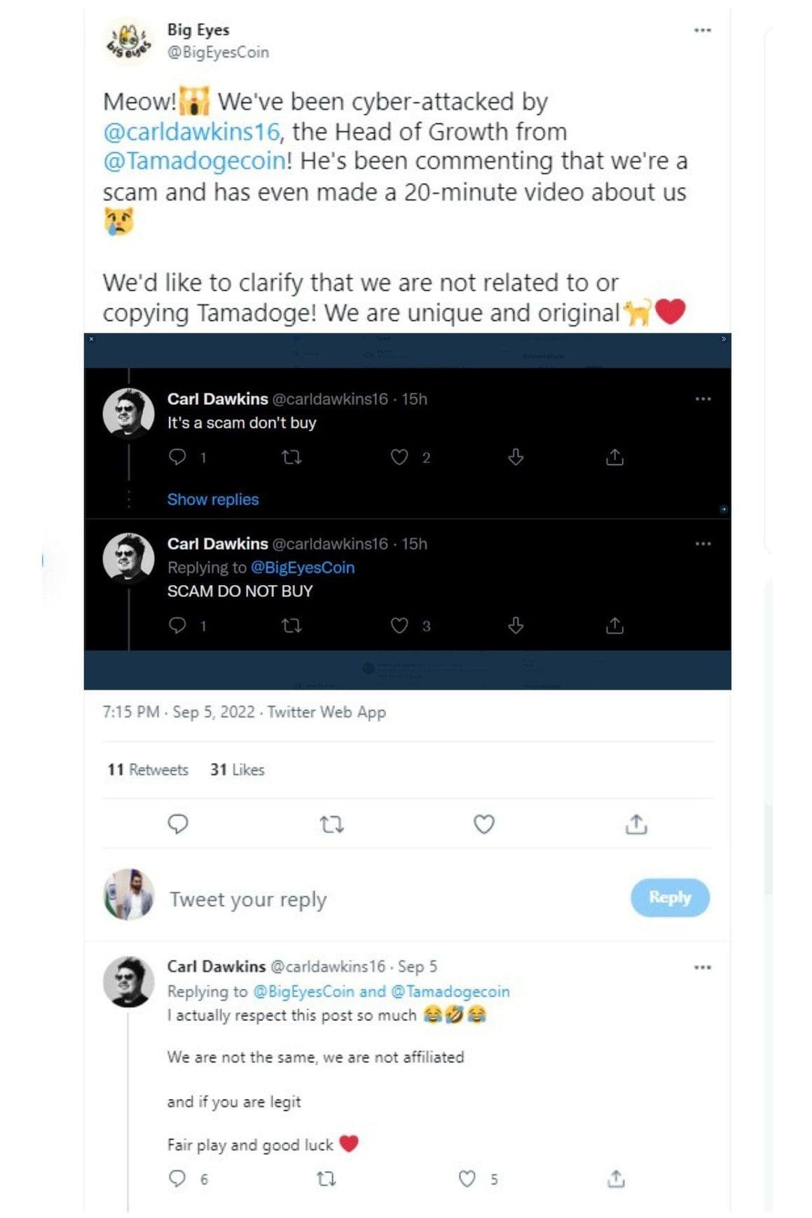 Is Big Eyes Crypto (BIG)  a scam? 