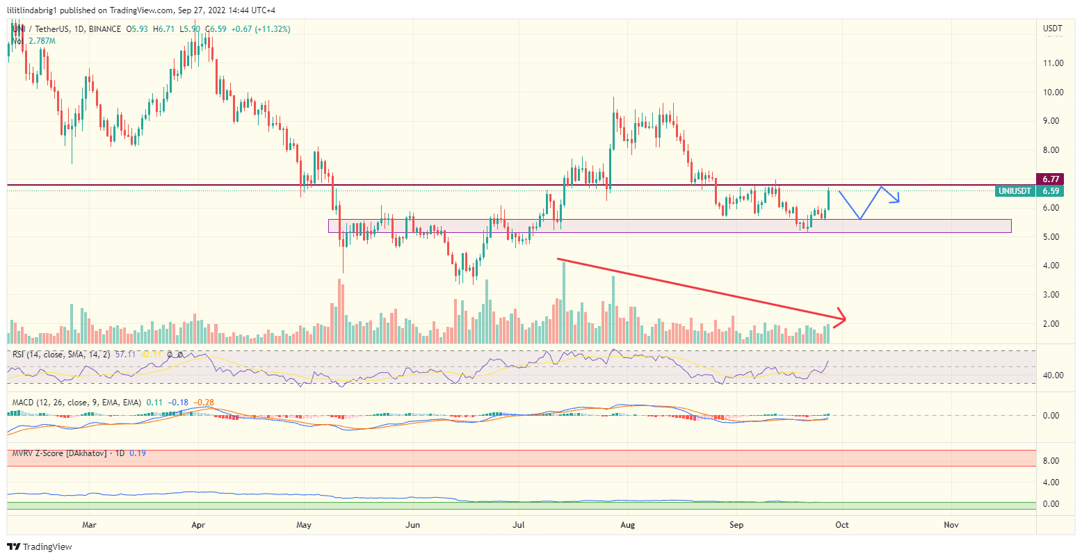 Uniswap (UNI) rallies 30% in 5 days. Source: TradingView.com