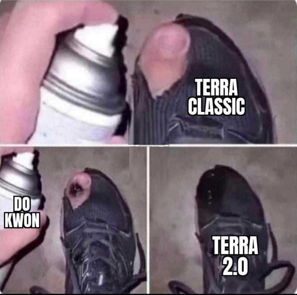 Terra Classic crypto meme