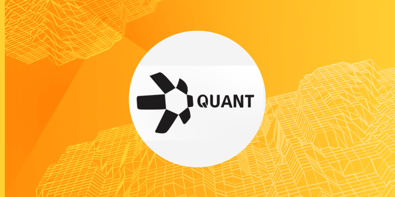 Quant (QNT) coin Things Don't Look Promising, Price Could Lose 10%