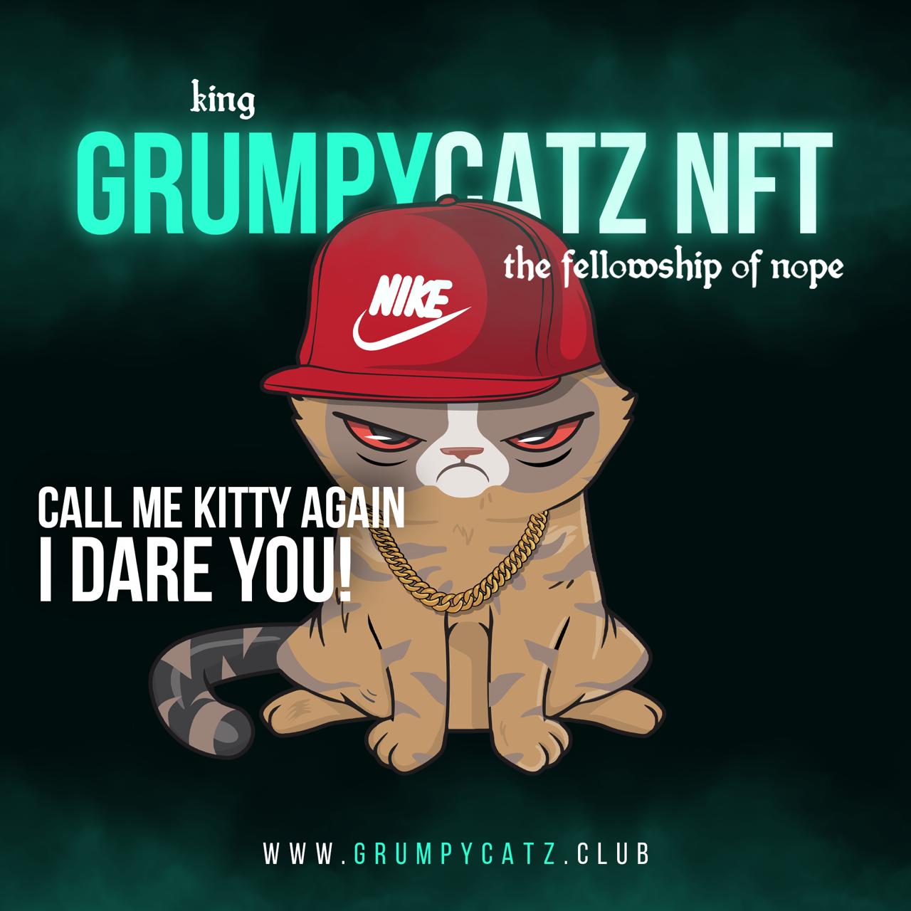, Grumpy Catz NFT Launches Spreading Awareness against Animal Cruelty