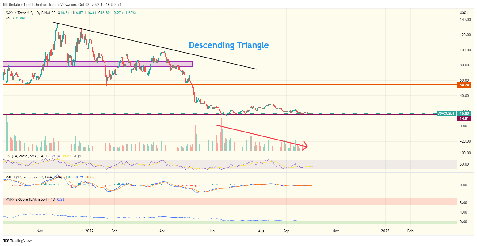 Avalanche (AVAX) daily price chart. source: TradingView.com