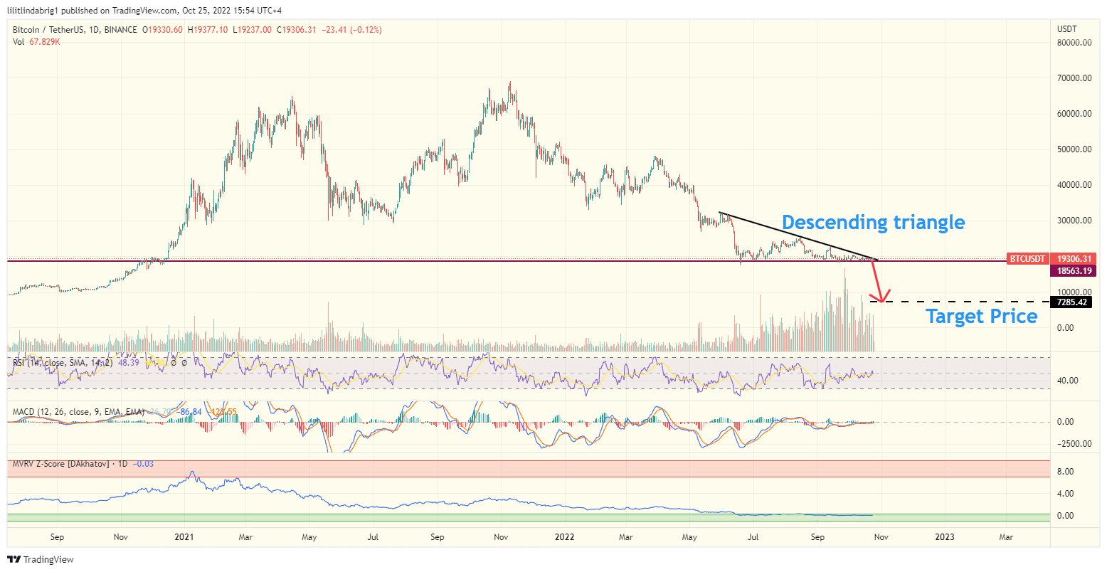 Bitcoin (BTC) daily price chart. Source: TradingView.com