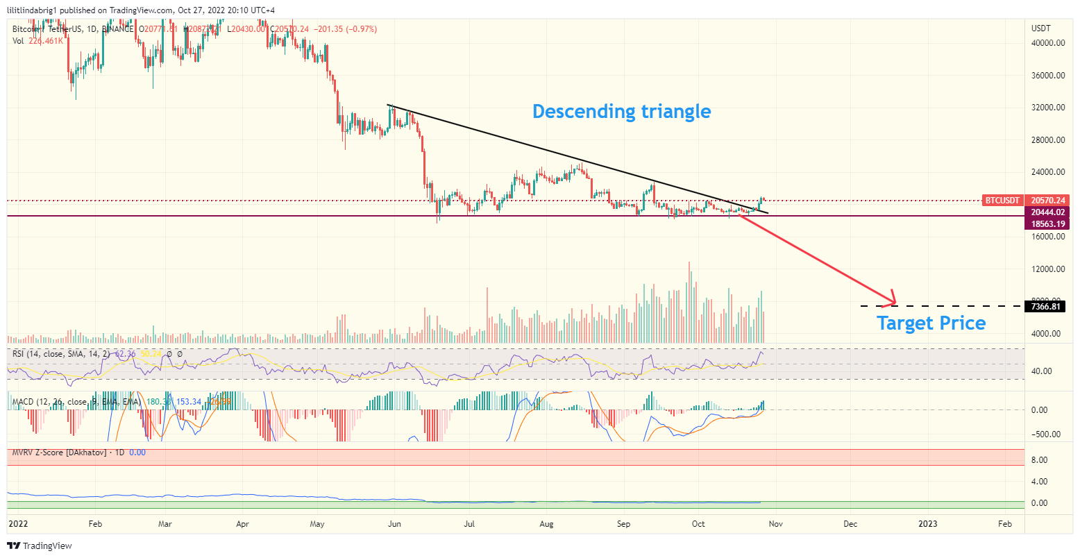 Bitcoin (BTC) daily price chart. 