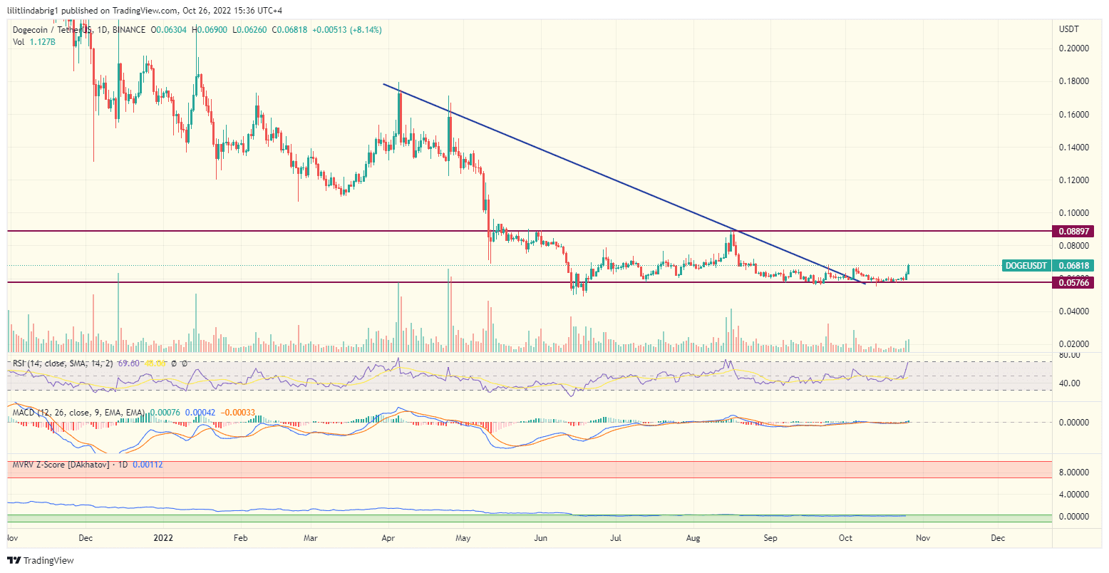 Dogecoin (DOGE) daily price chart.