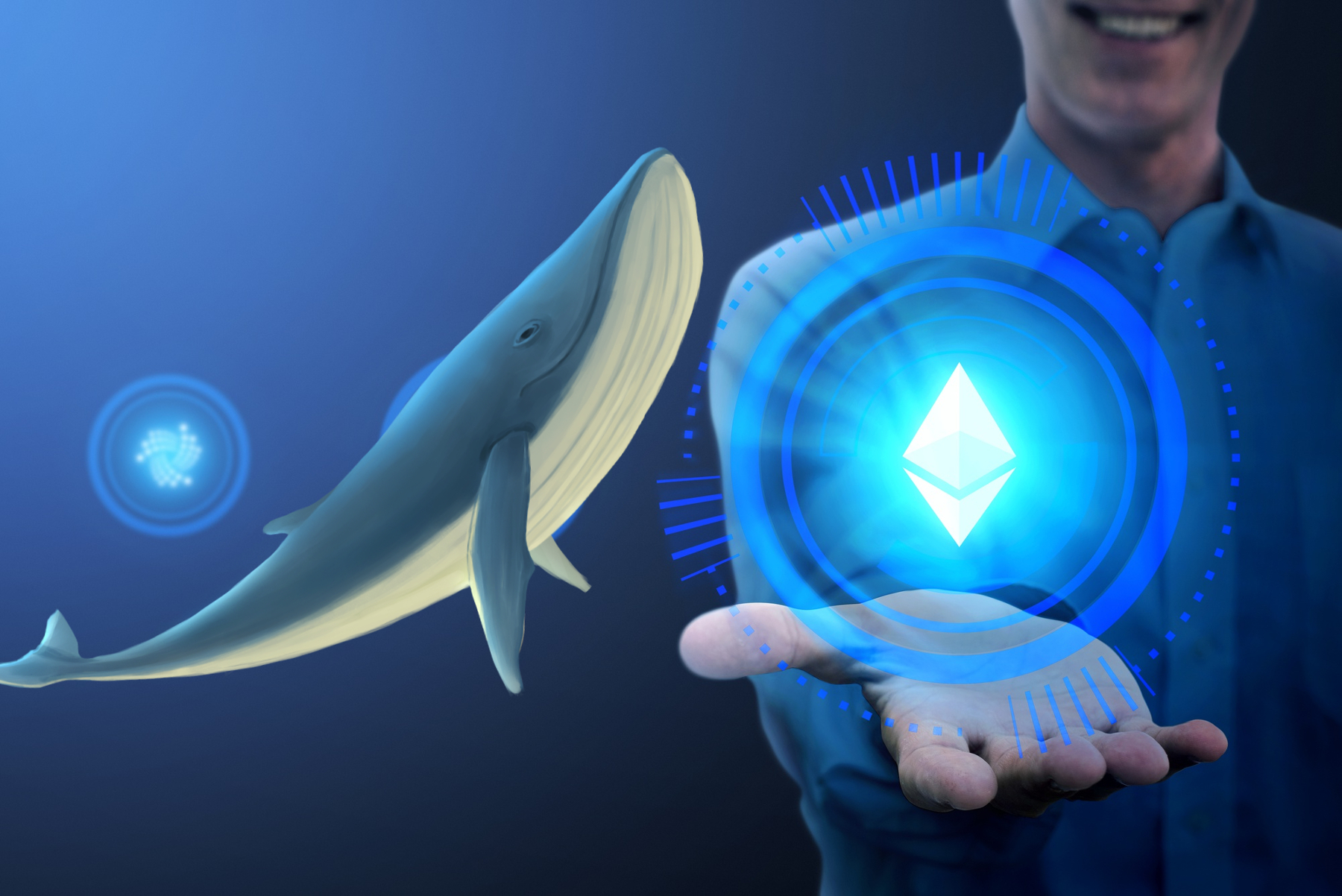 Ethereum whales remain bullish for the token, but ETH prices remain lifeless