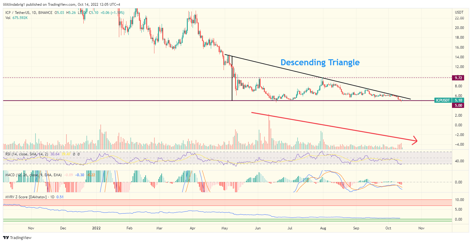 Internet Computer (ICP) daily price action. Source: TradingView.com