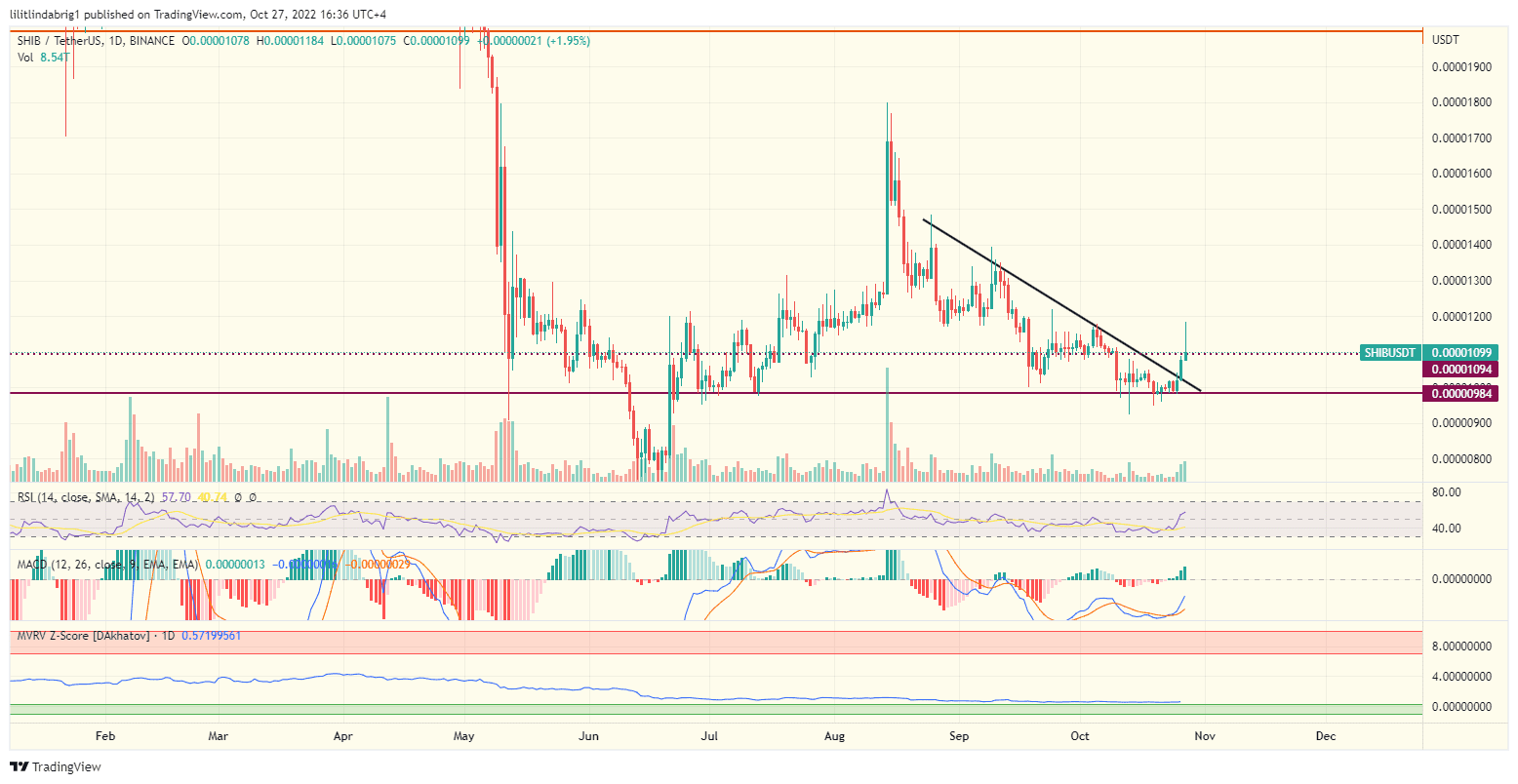 Shiba Inu (SHIB) daily price chart. Source: TradingView.com 