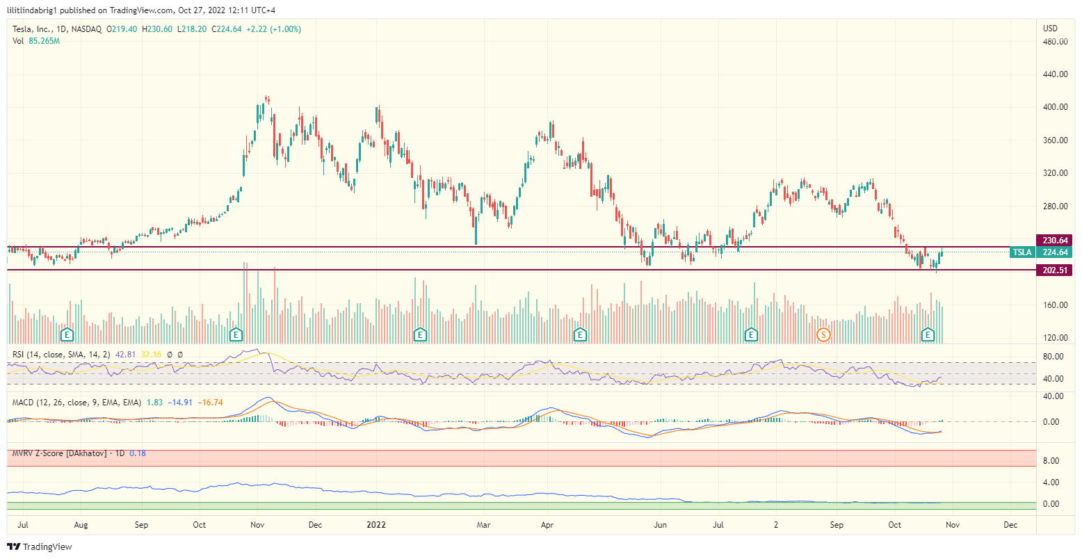 Tesla stock TSLA follows the bullish trend. 