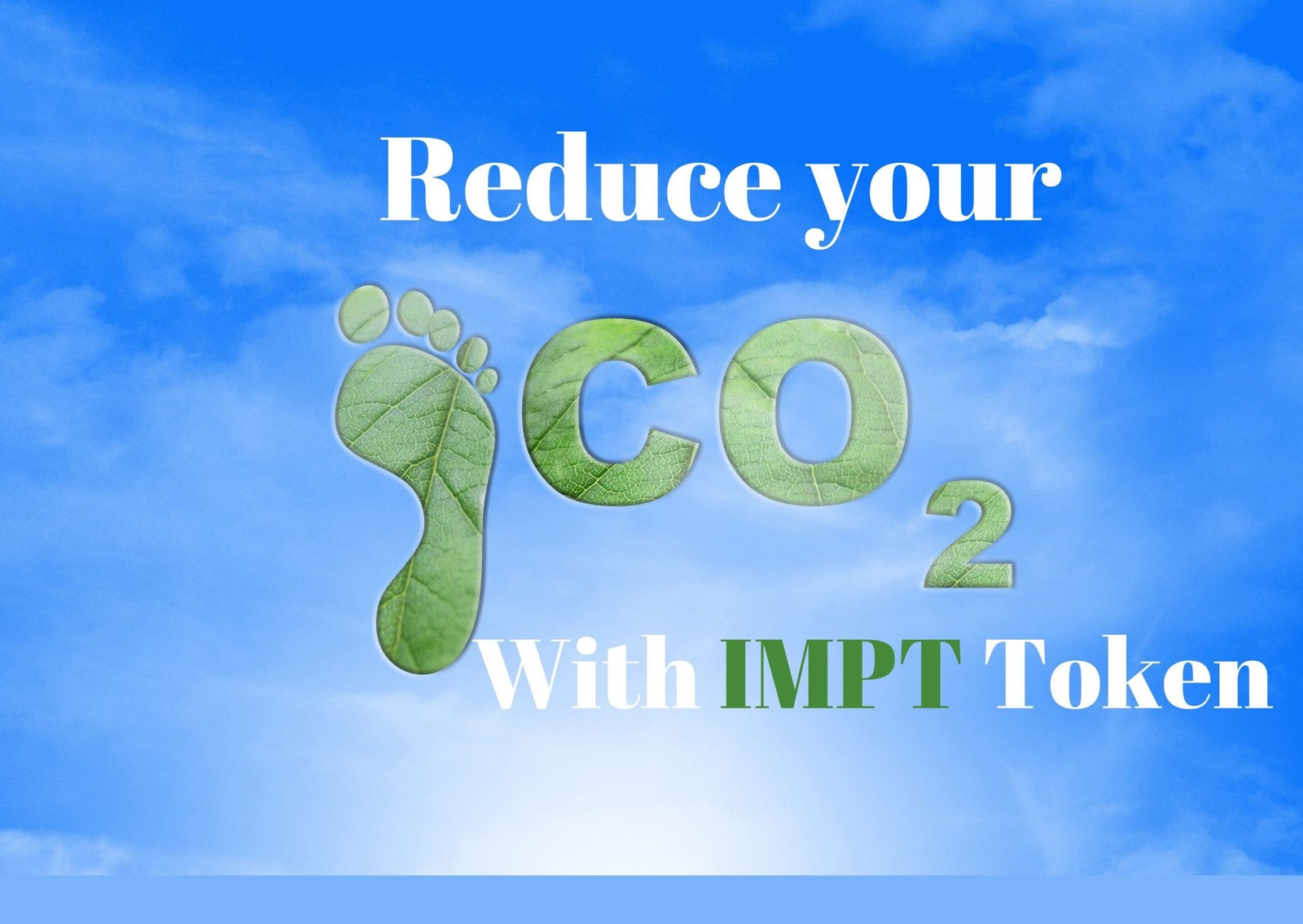 IMPT Token Stirs Up Crypto World: Here's Why