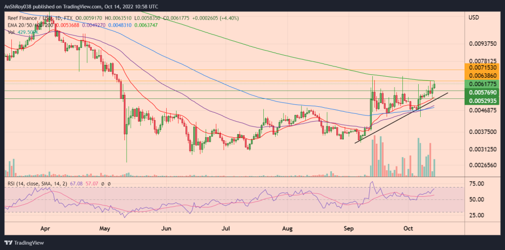 REEFUSD daily chart with RSI and ascending trendline support