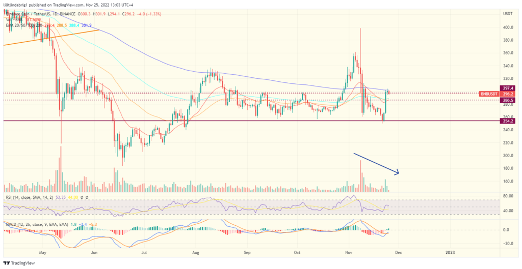 BNB price falls below the support