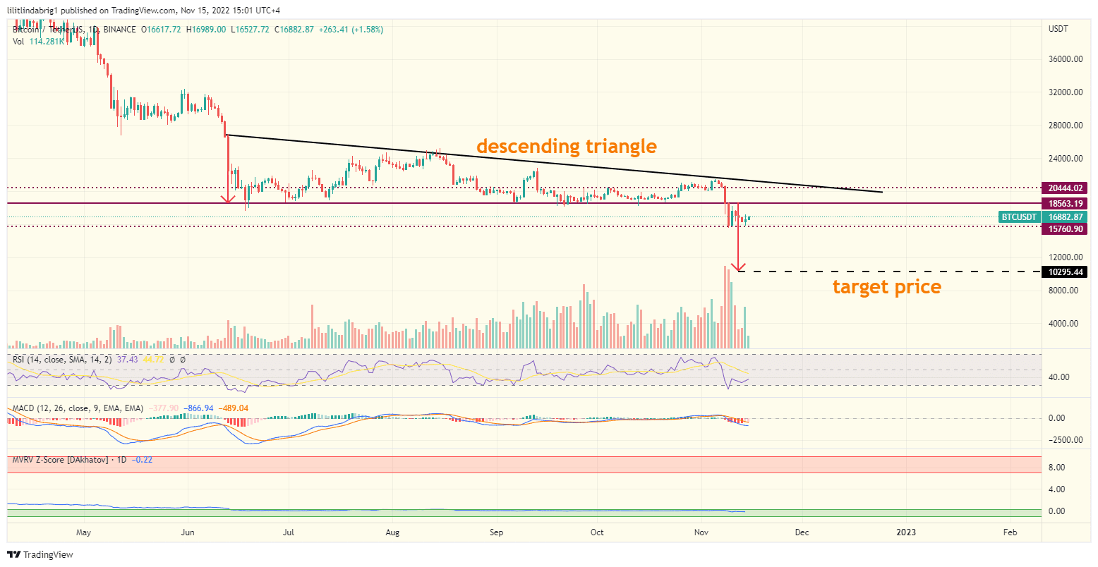 Bitcoin (BTC) daily price chart. 