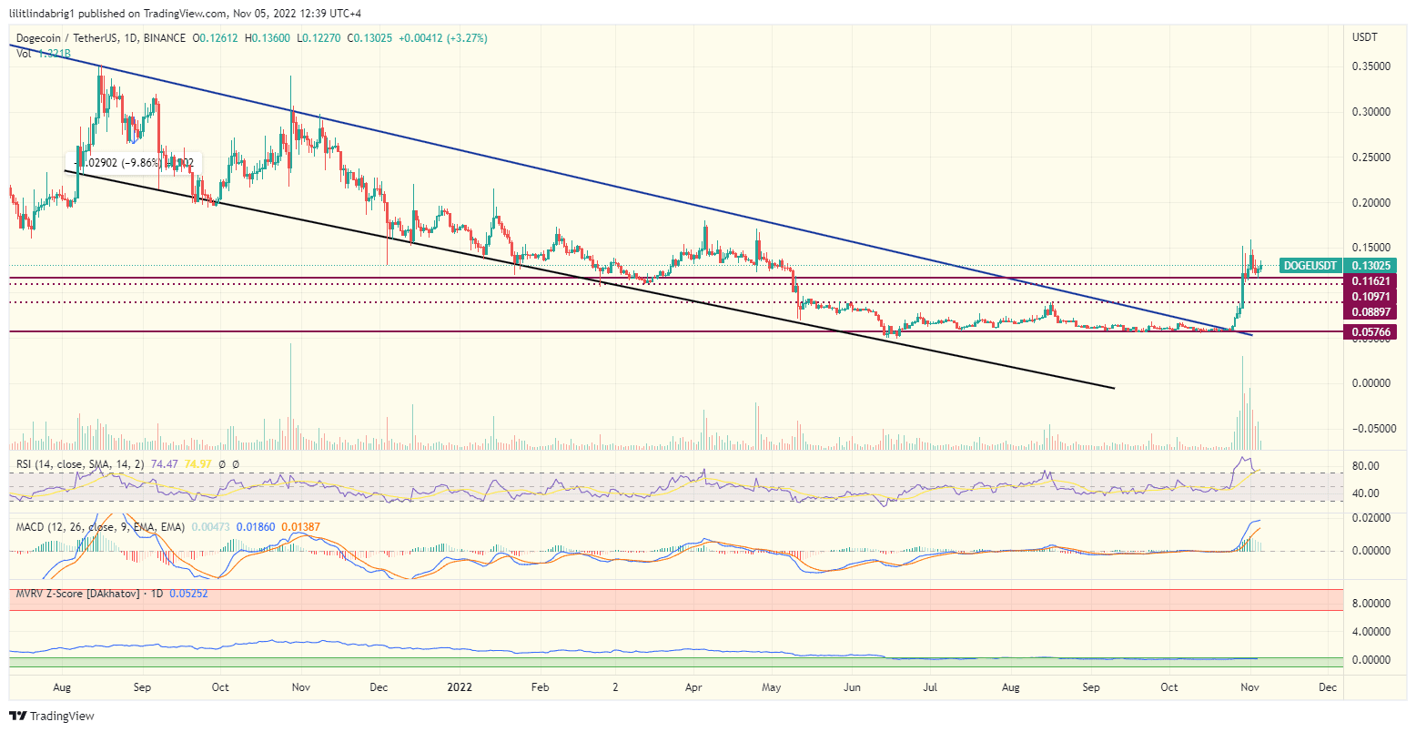 Dogecoin (DOGE) price mooches off Elon Musk and Twitter Wallet on Nov 5. 