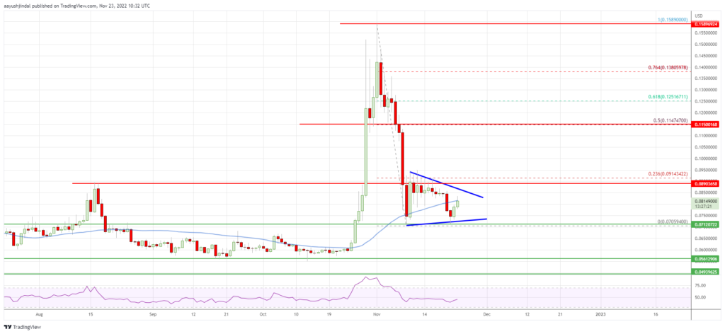 Dogecoin price daily chart 