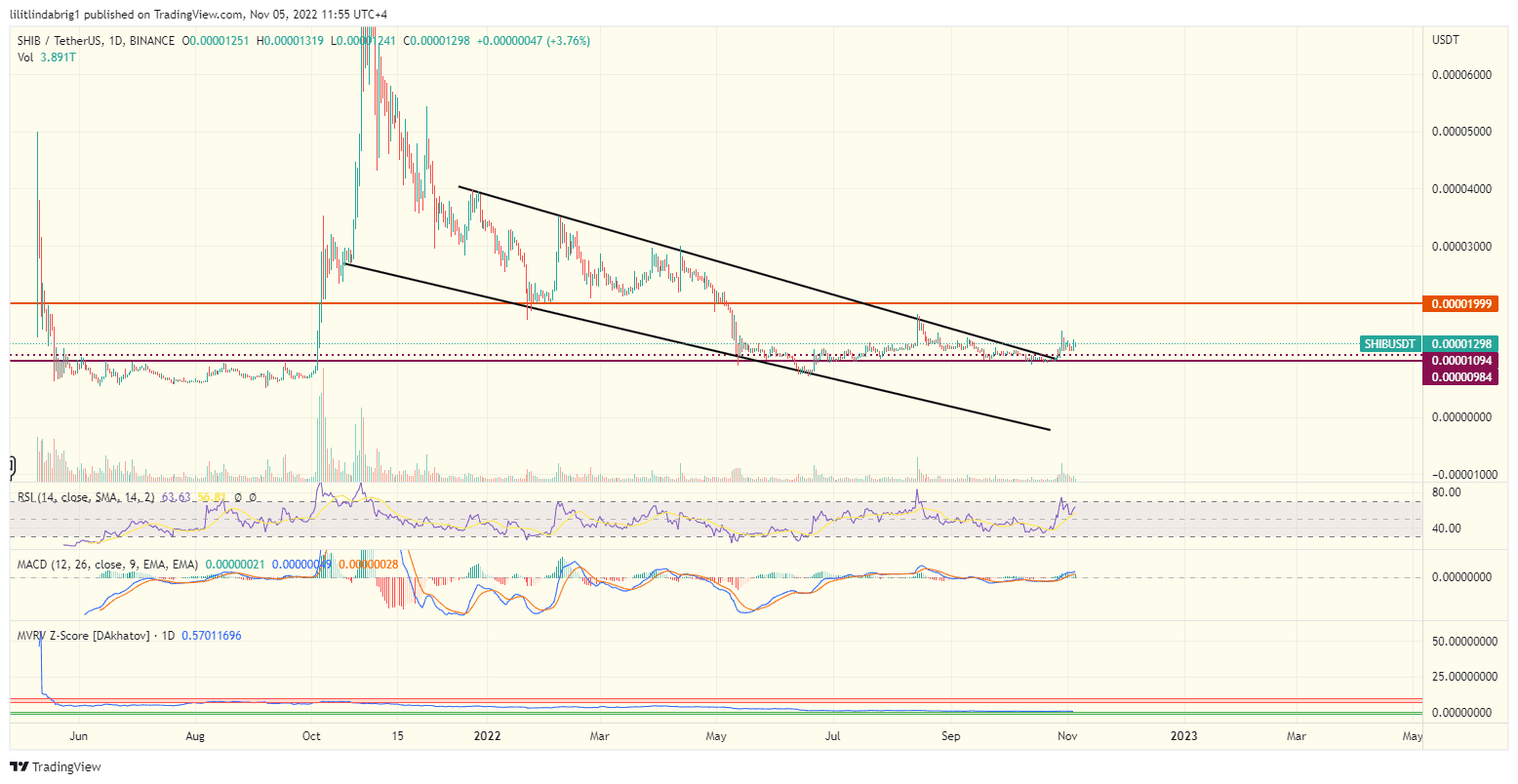 Shiba Inu (SHIB) coin daily price action chart. 