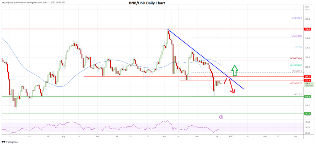 BNB’s daily price chart